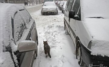 Фото: Борис Корпусенко