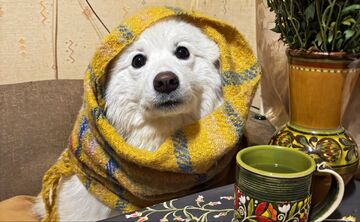 Опалення Фото: Анна Білоус