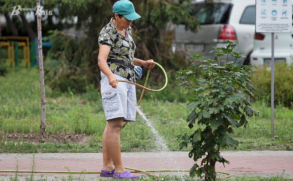 В Києві діють чіткі правила користування водою для поливу газонів і садів Фото: Борис Корпусенко