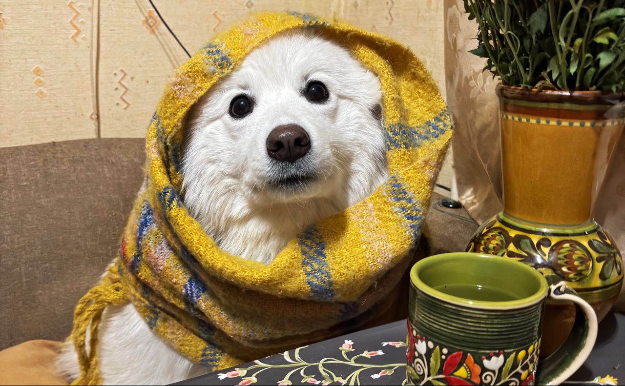 Опалення Фото: Анна Білоус